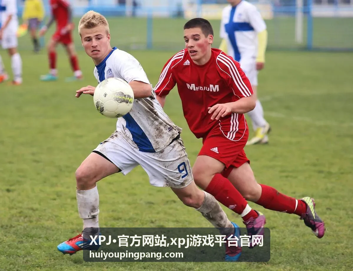 XPJ·官方网站 使用说明背景图