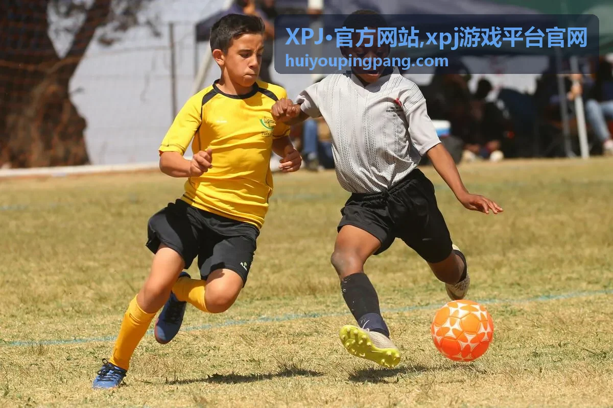 XPJ·官方网站 平台资讯封面图