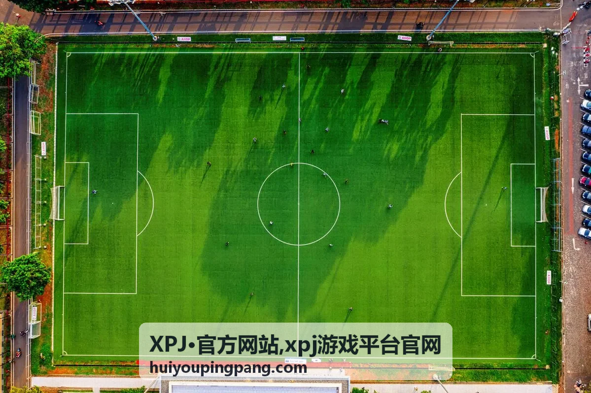 XPJ·官方网站 官网信息展示